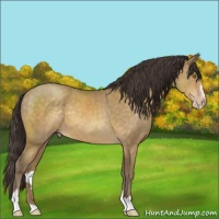 Horse Color:Sable Cream Champagne Sabino