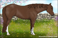 Horse Color:Gray Chestnut 