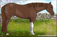 Horse Color:Gray Chestnut 