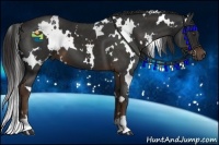 Horse Color:White Spotted Liver Chestnut 