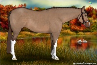 Horse Color:Liver Red Dun 