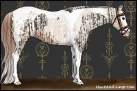 Horse Color:Brown Roan Splash Tobiano and Red Dun Splash Tobiano Varnish