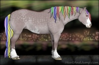 Horse Color:Painted Chocolate Silver Grullo Chinchilla Sabino 