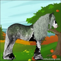 Horse Color:Silver Brown Chinchilla Ice Onyx Sabino
