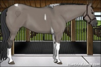 Horse Color:Grullo Tobiano