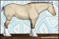 Horse Color:Amber Champagne Dun 