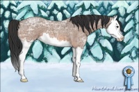 Horse Color:Bay Ice Roan Splash