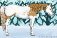 Horse Color:Red Roan Splash Near Fewspot 