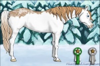 Horse Color:Red Ice Roan Splash 