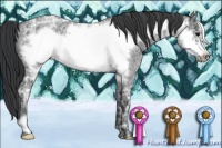 Horse Color:Blue Ice Roan Frame 