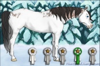 Horse Color:Bay Ice Roan Splash Appaloosa 