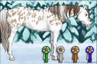 Horse Color:Classic Champagne Splash Appaloosa Rabicano