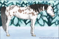 Horse Color:Bay Ice Roan Splash Leopard 