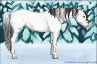 Horse Color:Bay Ice Splash Fewspot 