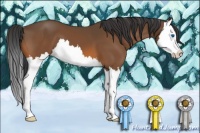 Horse Color:Bay Splash 