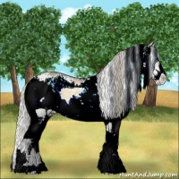 Horse Color:Silver Brown Chinchilla Ice Onyx Sabino 