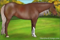 Horse Color:Chocolate Silver Brown