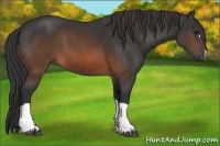 Horse Color:Brown 