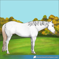 Horse Color:Chestnut Ice Varnish