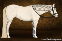 Horse Color:Perlino Rabicano