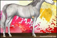 Horse Color:Chocolate Silver Buckskin Chinchilla Dun Sabino Splash Brindle 