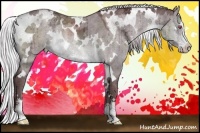 Horse Color:White Spotted Chocolate Silver Brown Chinchilla Ice Dun Sabino