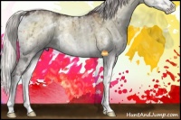 Horse Color:White Spotted Chocolate Silver Smoky Grullo Chinchilla Ice Onyx Sabino 