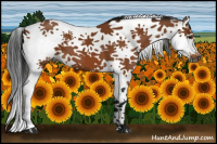 Horse Color:Gray White Spotted Bay Splash Tobiano