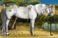 Horse Color:White Spotted Buckskin Dun Splash 