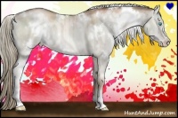 Horse Color:White Spotted Liver Red Dun Pearl Sabino