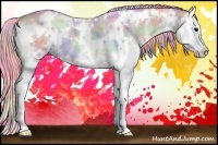 Horse Color:Nacre Watercolor White Spotted Bay Onyx Splash 