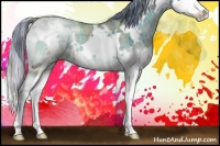 Horse Color:Watercolor Plaid  White Spotted Brown Onyx Splash Brindle 