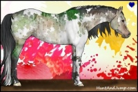 Horse Color:White Spotted Brown Dun Rabicano 