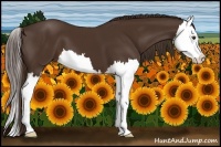 Horse Color:Liver Chestnut Splash 