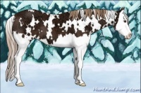 Horse Color:White Spotted Liver Chestnut Ice Splash 