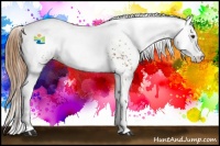Horse Color:White Spotted Chestnut 