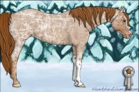 Horse Color:Red Ice Roan Appaloosa 