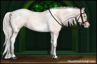 Horse Color:Silver Amber Champagne Roan Dun Splash Tobiano Frame Appaloosa Rabicano 