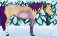 Horse Color:Buckskin Dun Mushroom 