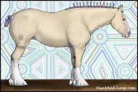 Horse Color:Gold Cream Champagne 
