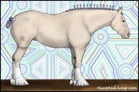 Horse Color:Gold Cream Champagne 