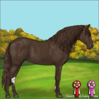 Horse Color:Liver Chestnut Sabino