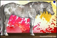 Horse Color:White Spotted Liver Red Dun Ice