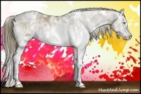 Horse Color:White Spotted Liver Red Dun Ice Splash 