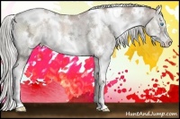 Horse Color:White Spotted Liver Red Dun Ice Pearl Splash 