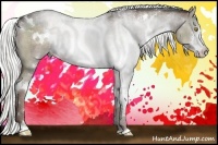 Horse Color:White Spotted Liver Red Dun Sabino Rabicano