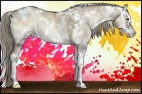 Horse Color:White Spotted Liver Red Dun Ice Onyx Splash Rabicano Brindle