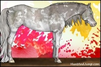 Horse Color:White Spotted Liver Chestnut Ice Splash Rabicano 