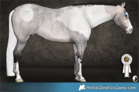 Horse Color:Platinum Silver Grullo Roan Pearl Splash and Gray Platinum Buckskin Roan