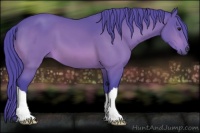 Horse Color:Watercolor Brown 